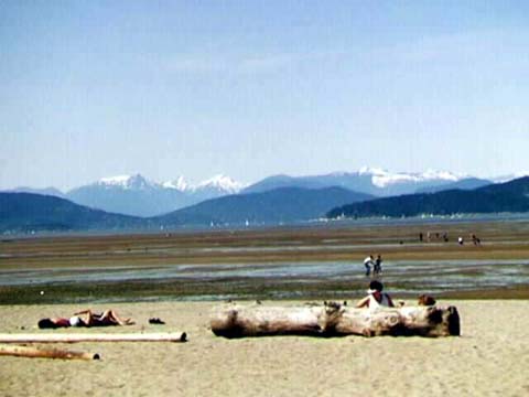 Spanish Banks